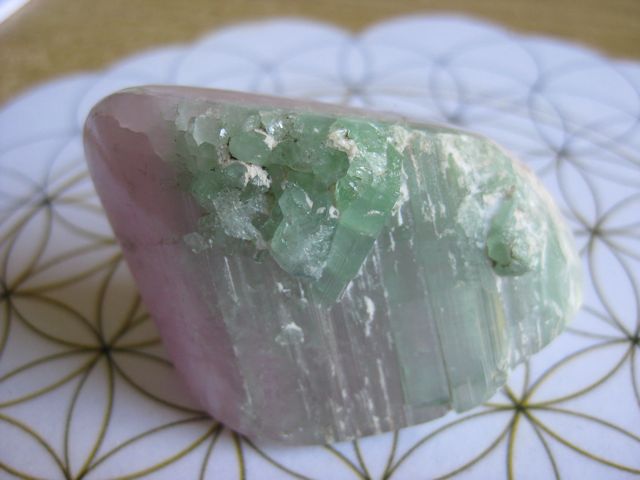 Paraiba1.jpg