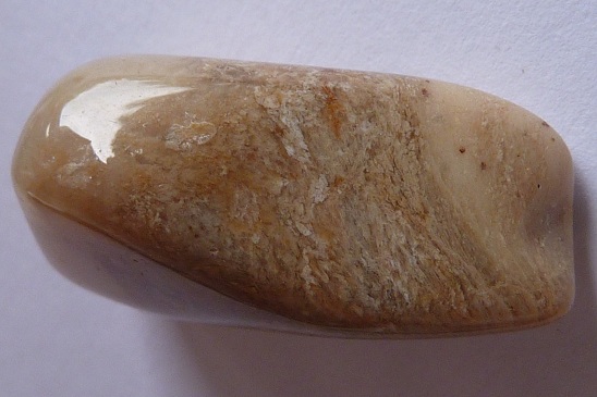Holz?