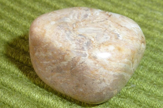 Holz?