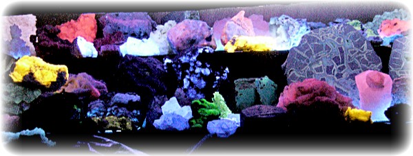 UVKW Vitrine 050.jpg
