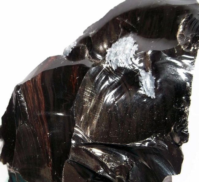 rebo braun 1.JPG