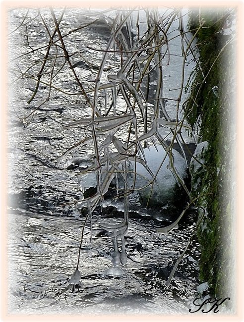 Eiszapfen.280110.JPG
