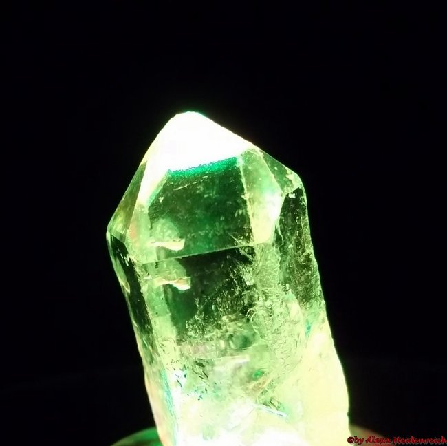 Lichtstein 4 by Alexa Heidenreich..JPG