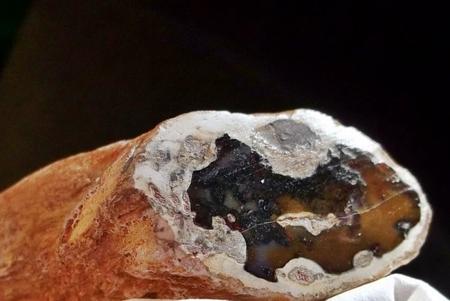 holz 2.JPG