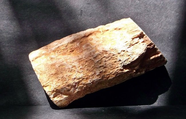 holz 3.JPG