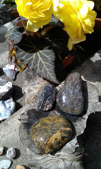 IMAG0796.jpg