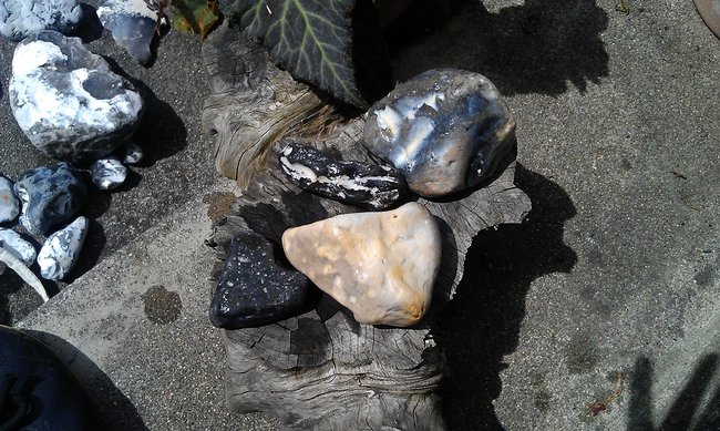 IMAG0792.jpg