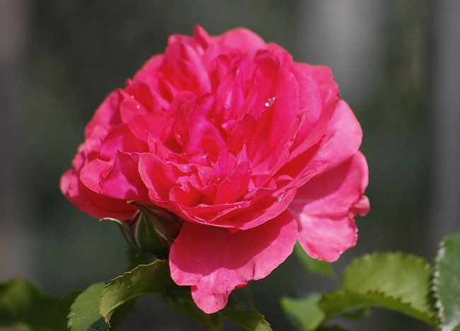 16Jun12 020.JPG