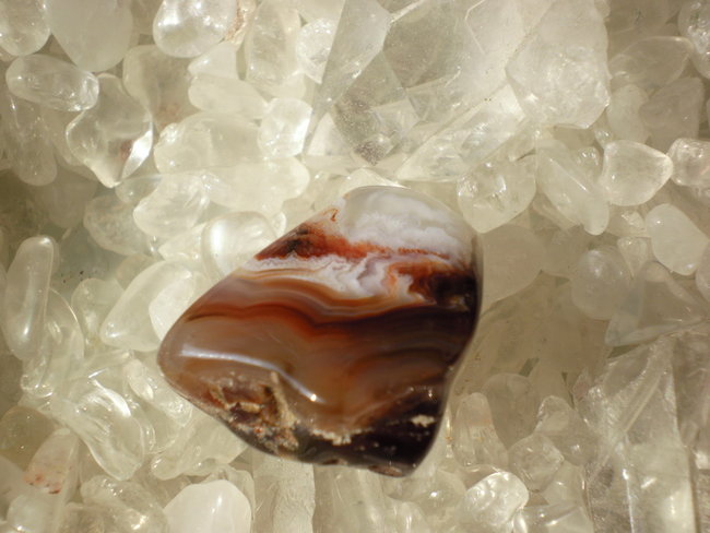 b 007.jpg