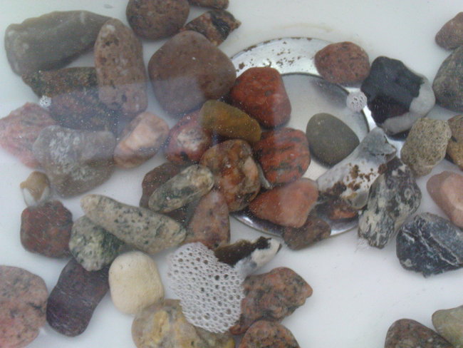 Strandsteine Ostsee_01.JPG
