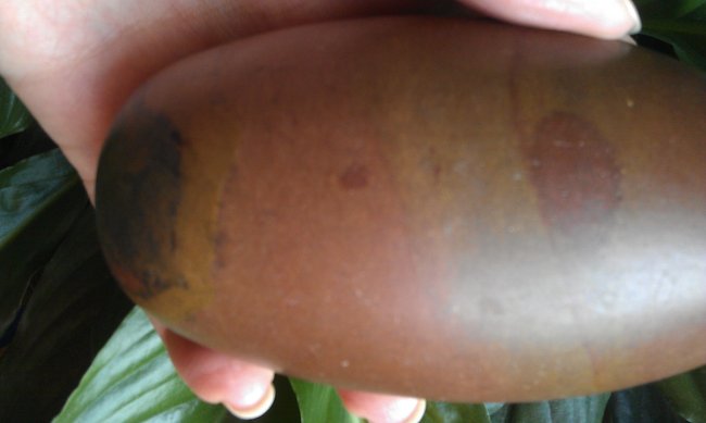IMAG1155.jpg