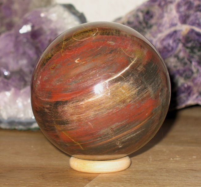versteinertes Holz