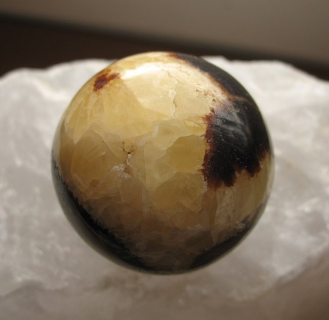 Septarie