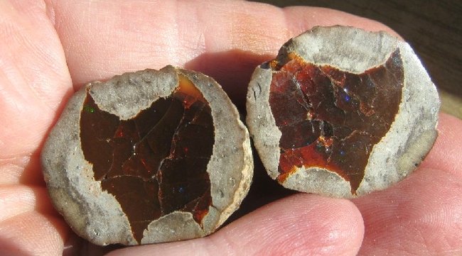 geoden mit schiller-01.jpg