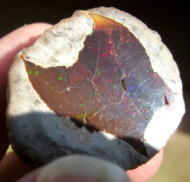 geoden mit schiller-05.jpg