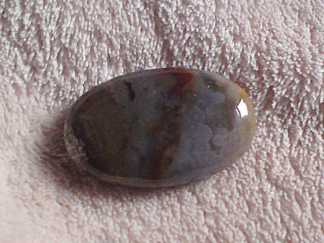 DSC00549.jpg
