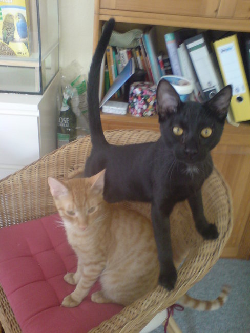 und Monty und Garry