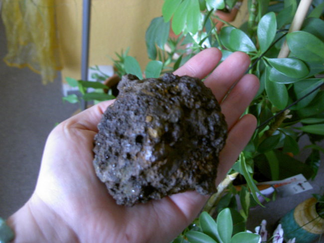 PICT0474.JPG