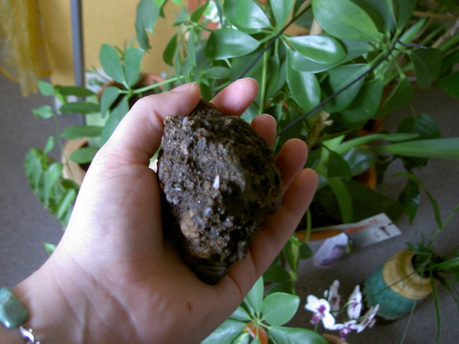 PICT0476.JPG