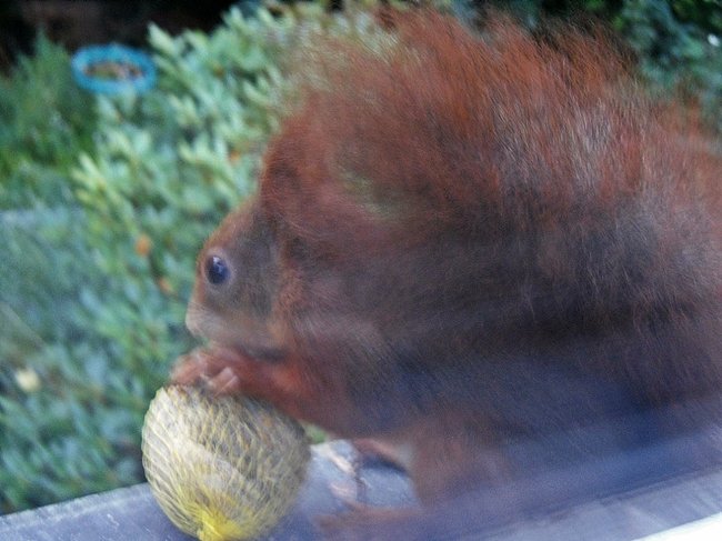 SAM_3262.JPG