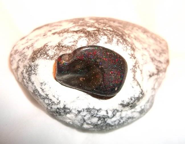 Black Honduras Opal auf Hühnergott