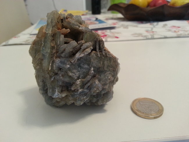 20121022_110138.jpg