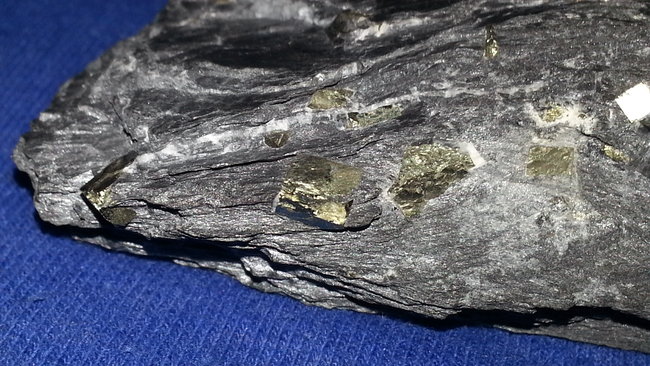 Pyrit in Schiefer.