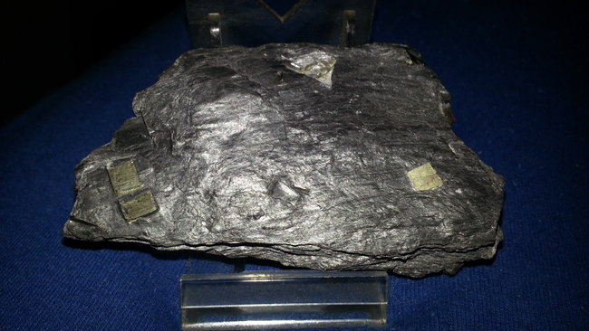 Pyrit in Schiefer.