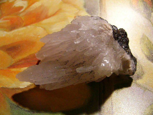 Rosa mit Schwarz