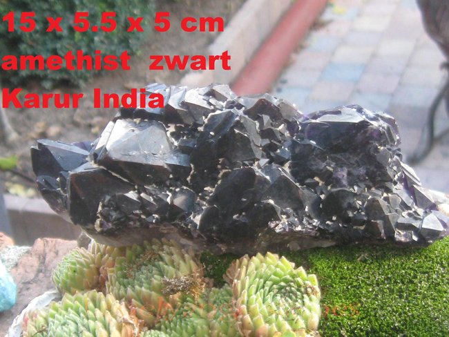 amethistgitzwartindia (2).JPG