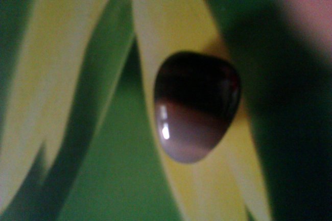 Sardonyx