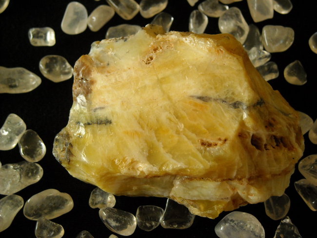 Honig Opal 03 537.JPG
