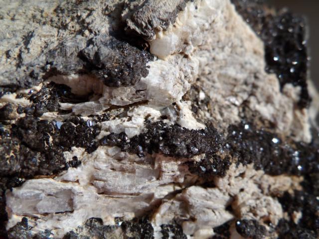 Kristalle auf versteinertem Holz 3