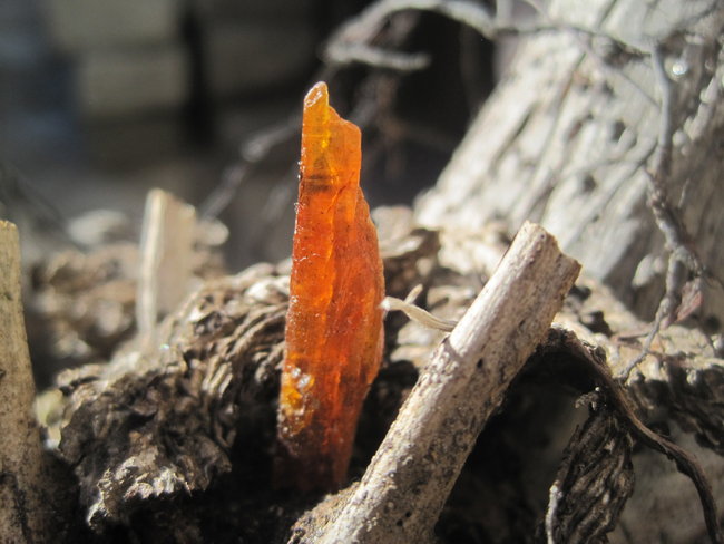 Disthen orange