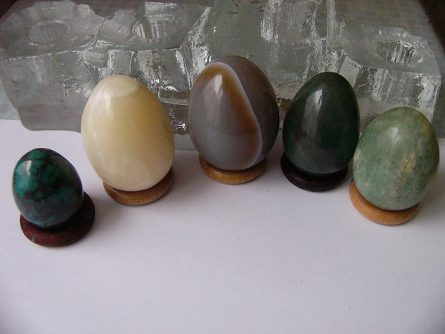 5 Eier suchen einen Namen