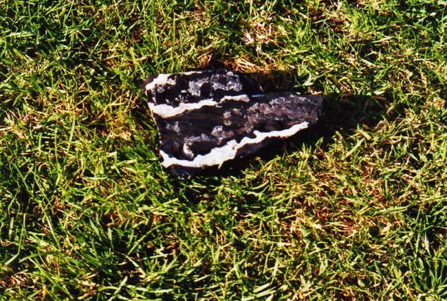Stein5309.jpg