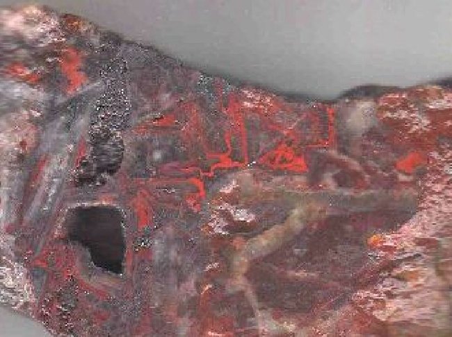 m08.JPG