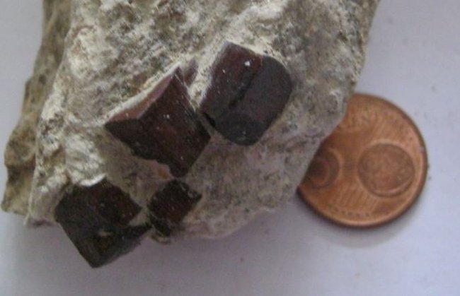 n05.JPG