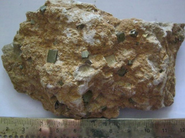 n06.JPG