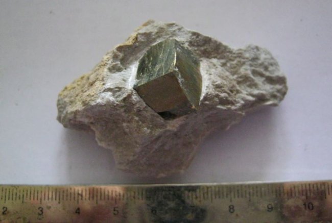 n07.JPG