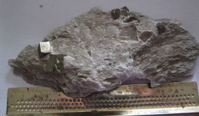 n08.JPG