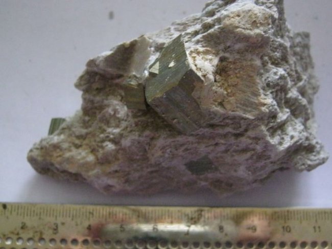n09.JPG
