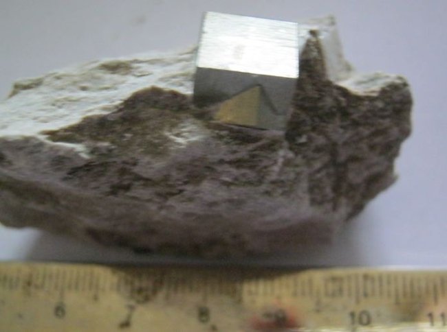 n10.JPG
