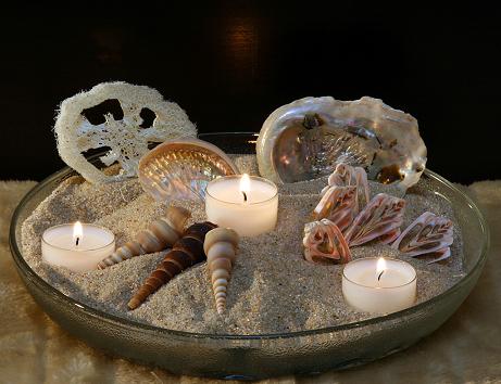 seeopale  ( abalone ) Muschelquerschnitte   3 Nightlights  etc.