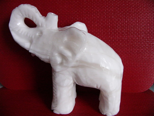 Elefant über 2kg