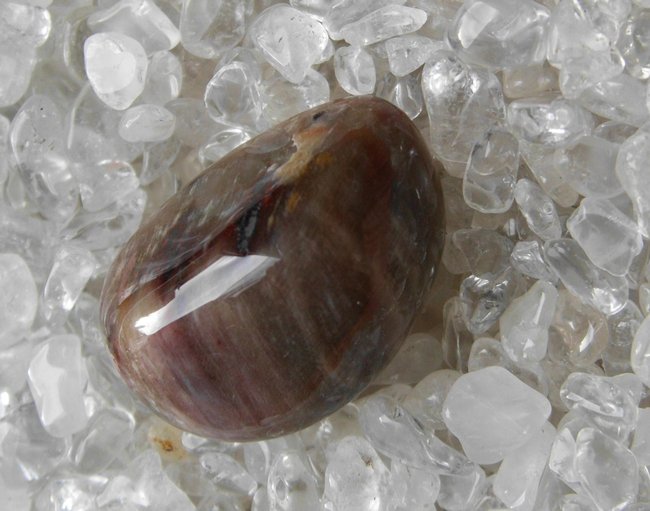 DSCI0009.jpg