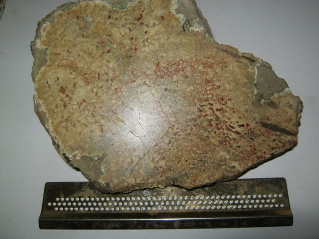 W 01.JPG
