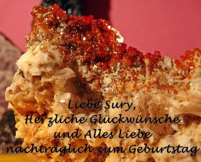 sury.JPG