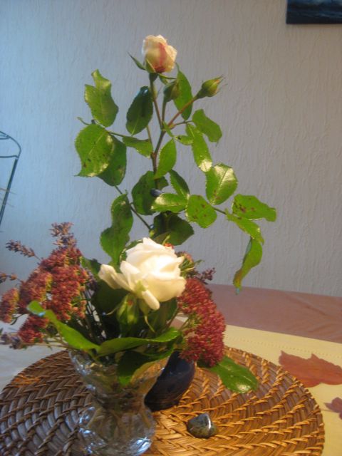 letzte Rosen1.jpg