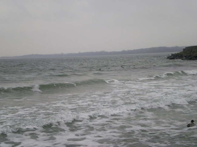 b 008.jpg